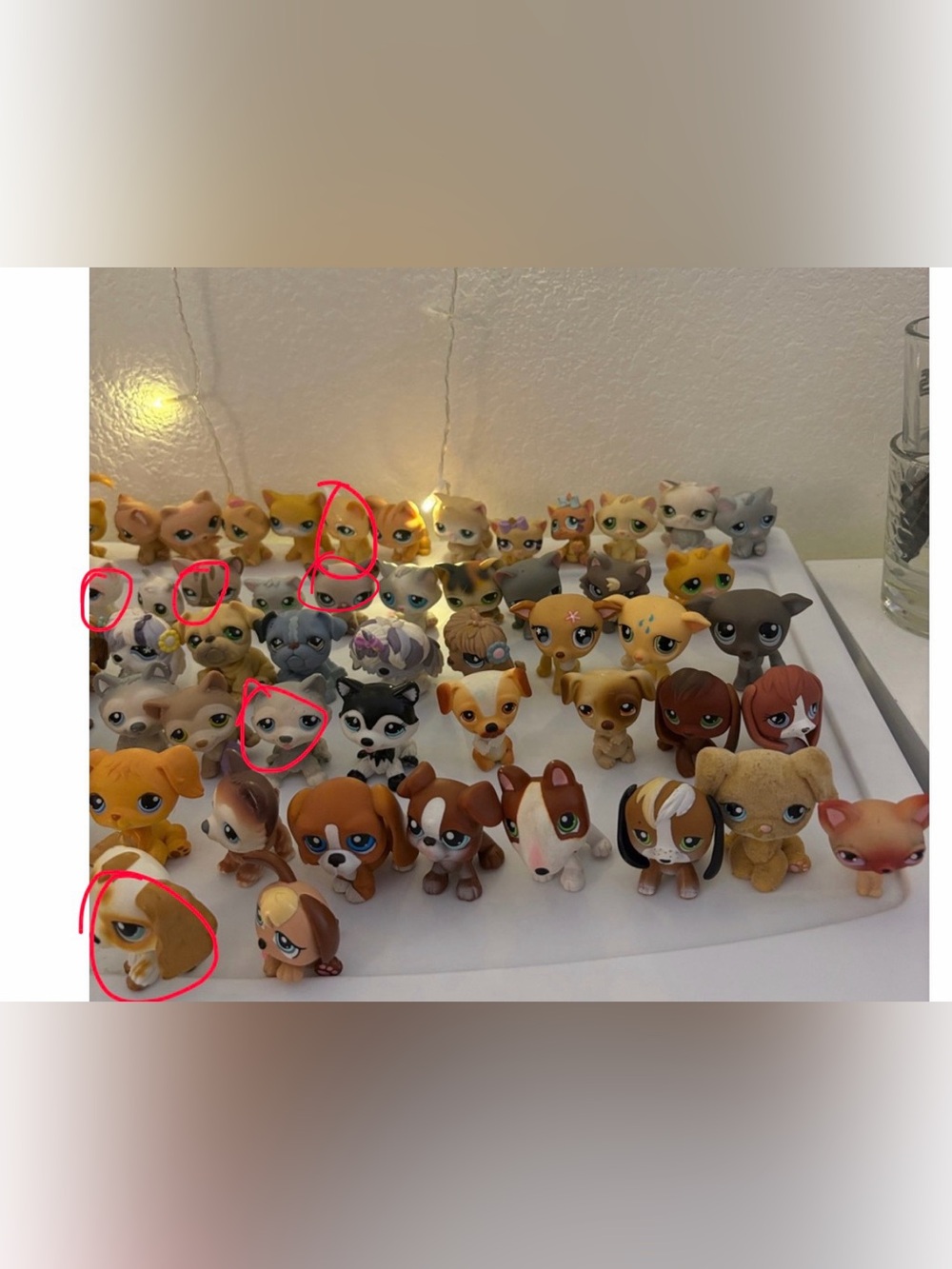 DO NOT BUY